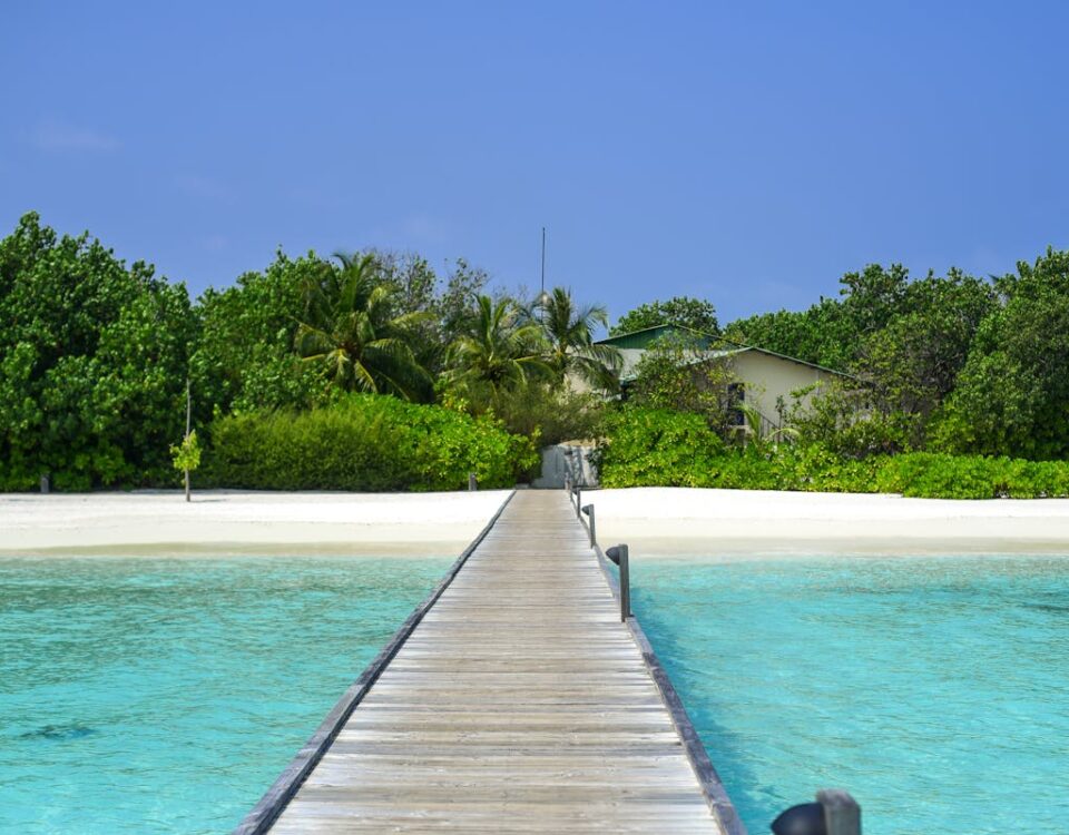 Scenic beach with a wooden walkway extending to lush greenery and palm trees.