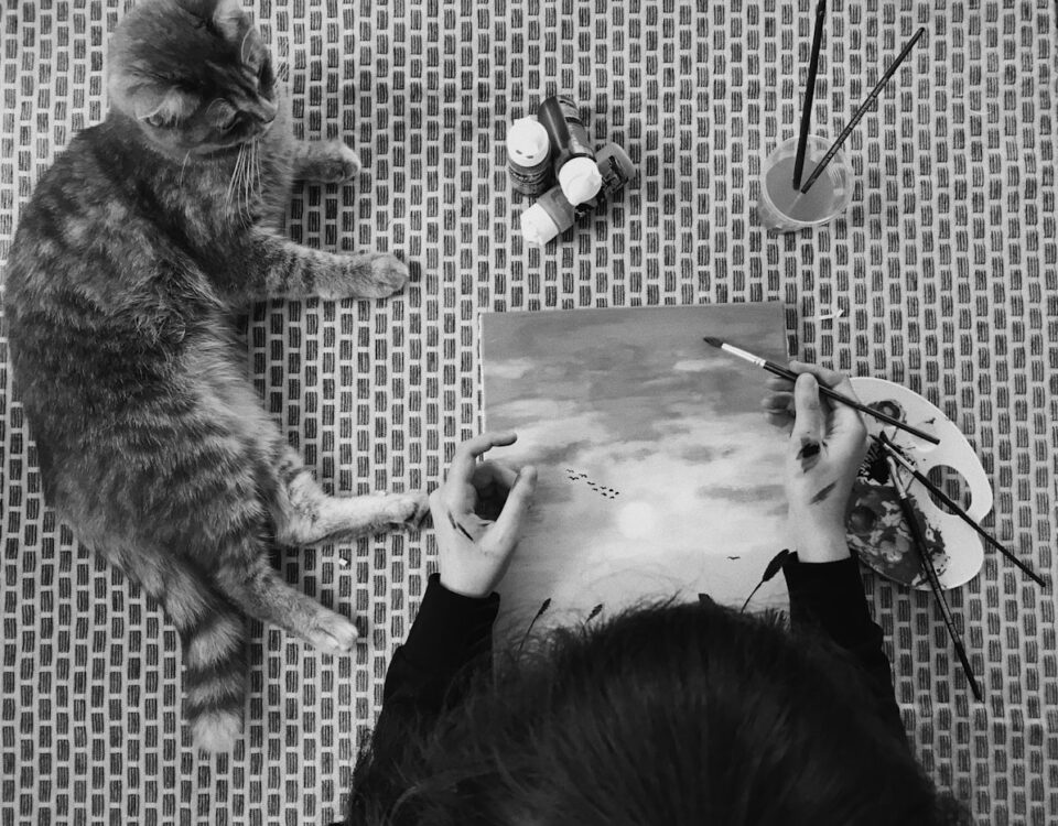 person holding black and white cat