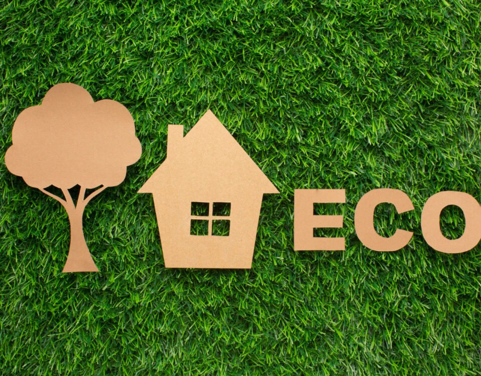 Como tornar sua casa mais ecológica com baixo investimento