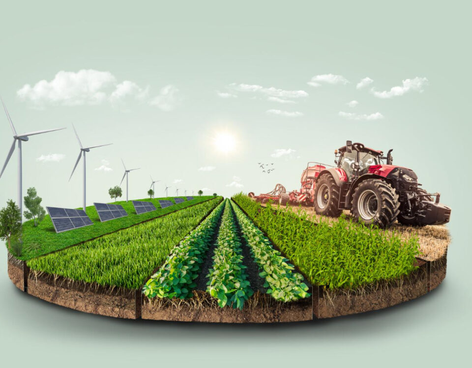 Como o agronegócio afeta a segurança nas áreas rurais?