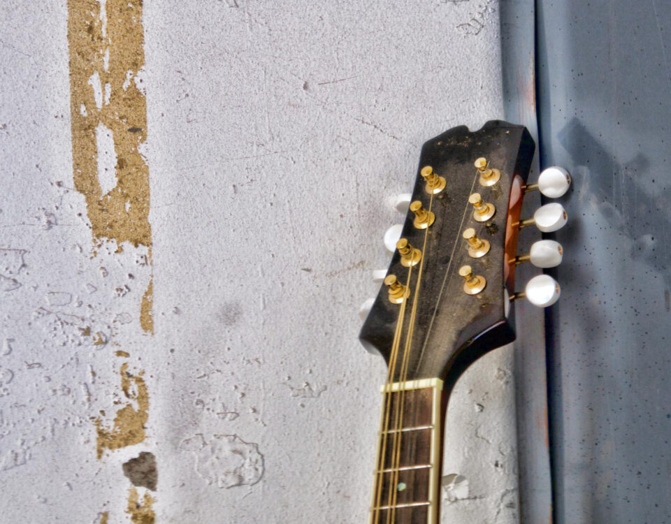 Umidade é vilã silenciosa para instrumentos musicais