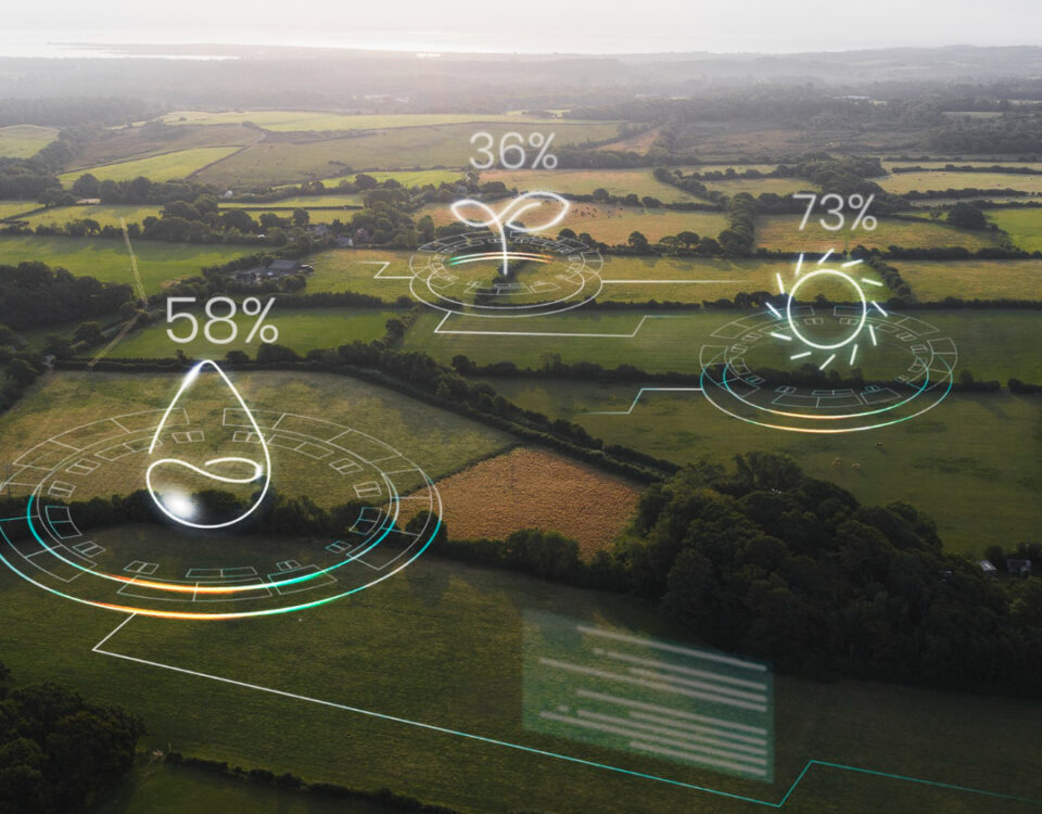 Sistemas integrados de agricultura, pecuária e floresta ganham força como modelo sustentável