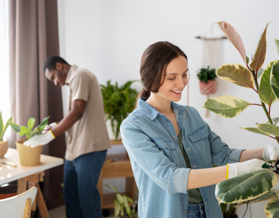 Ambientes domésticos que estimulam o bem-estar