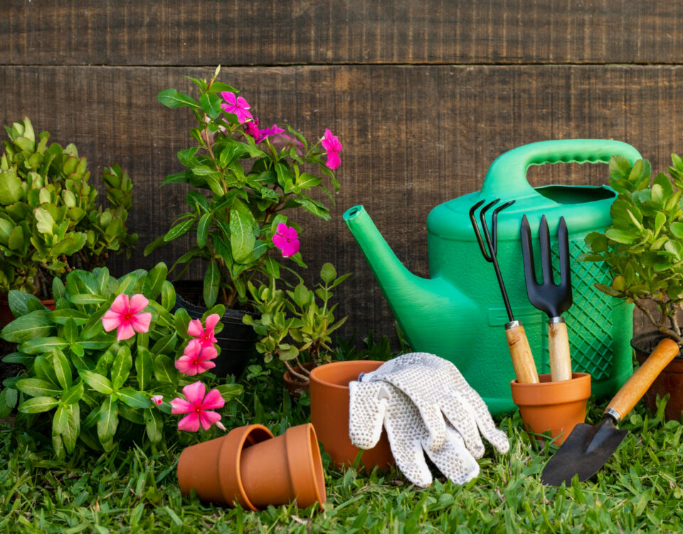 Calor, umidade e curto: os riscos ocultos do jardim doméstico